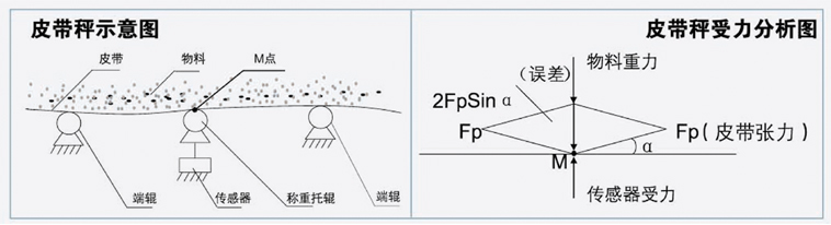 廈門皮帶秤 廈門皮帶秤